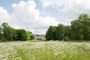 Slottet vy från sjösidan med blomsteräng