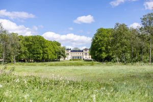 Sommarbild vy från hagen upp mot Slottet